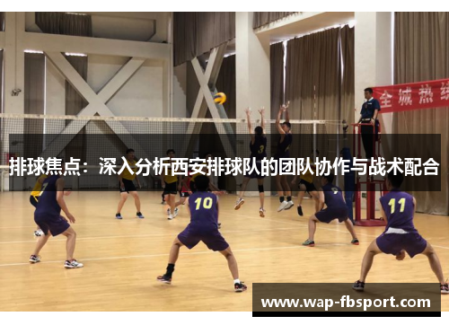 排球焦点：深入分析西安排球队的团队协作与战术配合