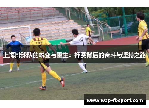 上海排球队的蜕变与重生：杯赛背后的奋斗与坚持之路