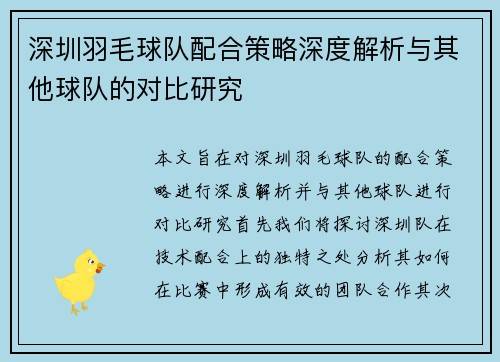 深圳羽毛球队配合策略深度解析与其他球队的对比研究